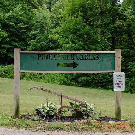 Pine Creek Cabins & Camping Resort South Bloomingville 外观 照片